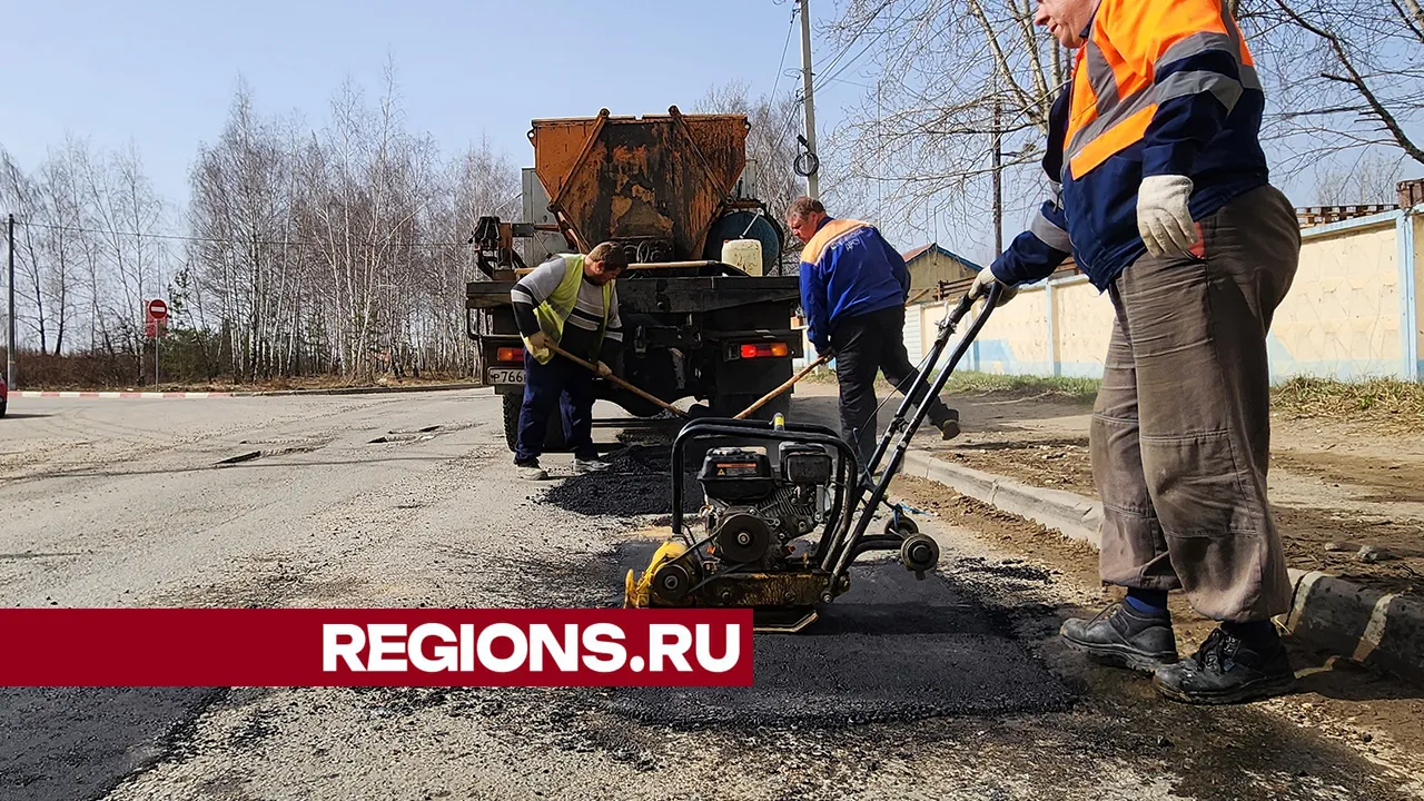 Фото: Андрей Семибратов