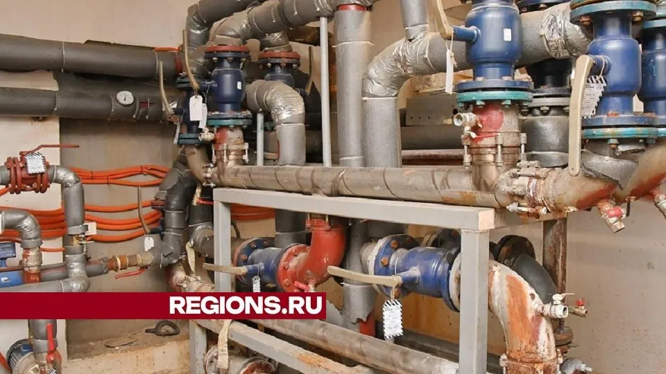 Фото: Елена Аботурова