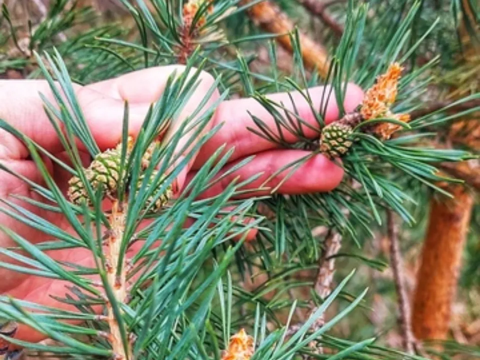 Фото: Василий Потапов