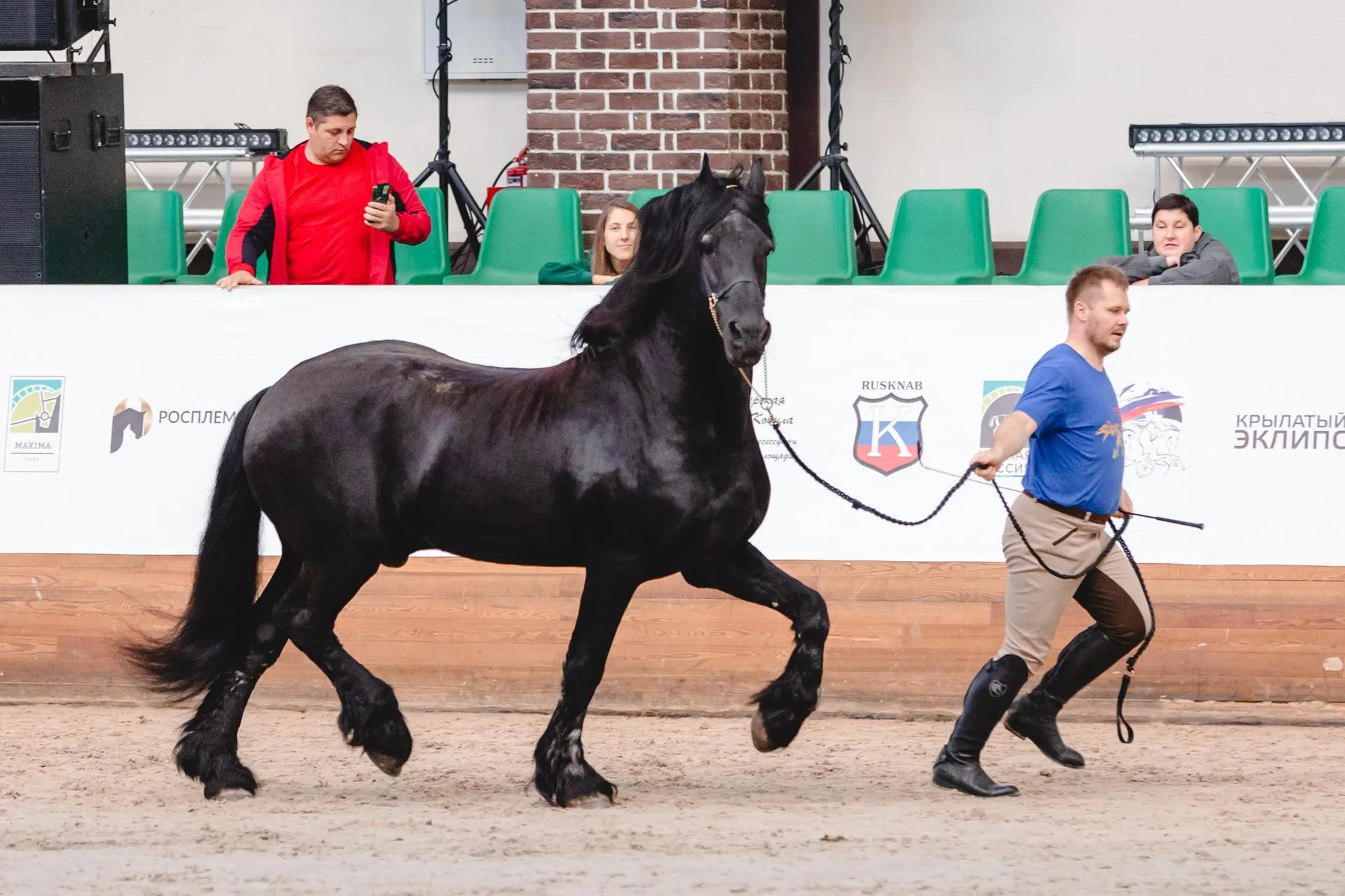 Представлены организаторами выставки