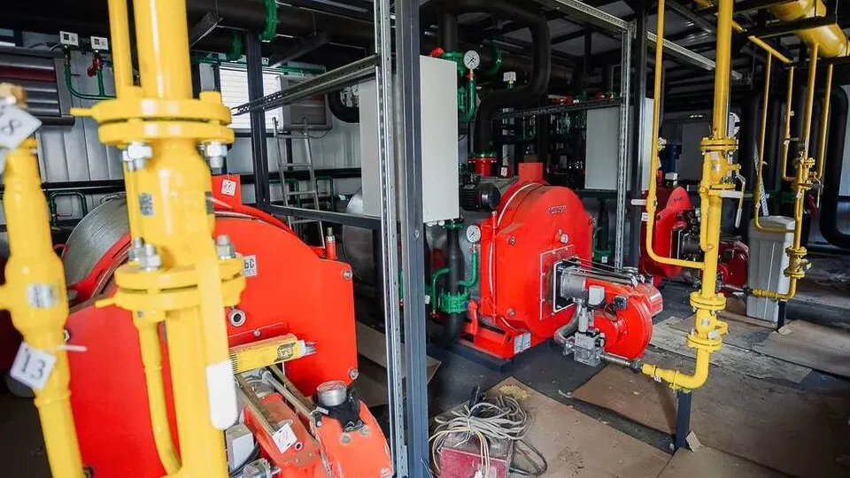 Фото: пресс-служба администрации г.о. Кашира