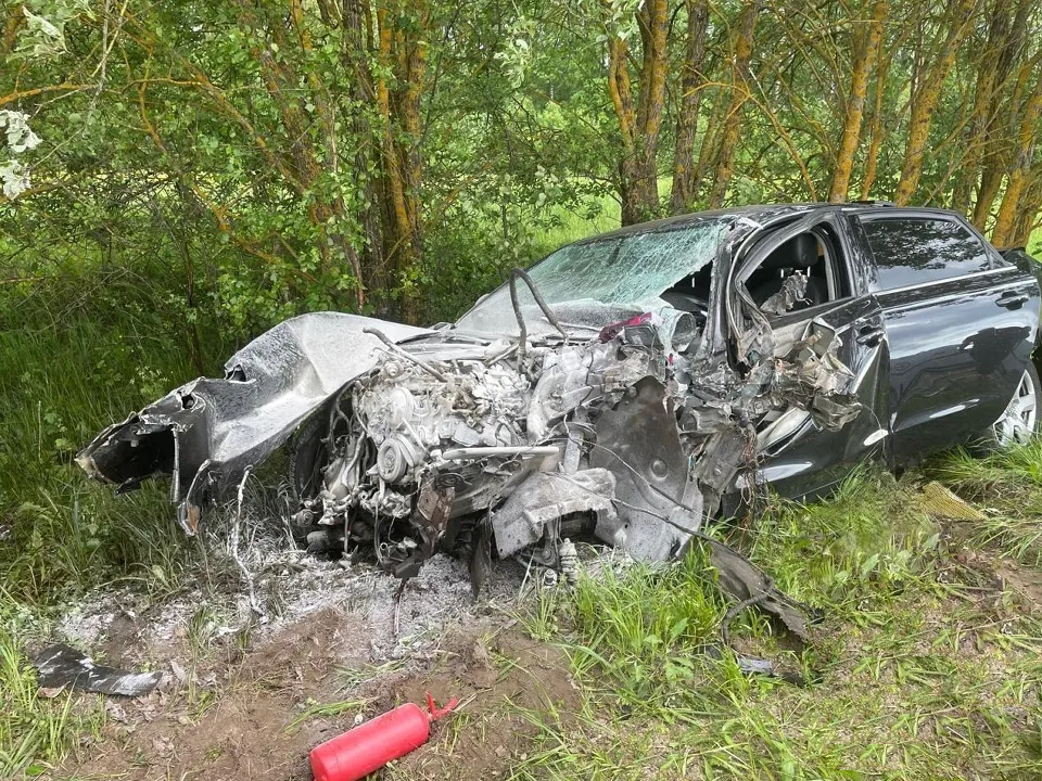 Фото: пресс-служба ГУ МВД России по Московской области