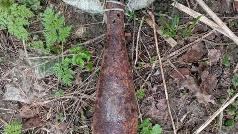 Фото: администрация г.о. Люберцы