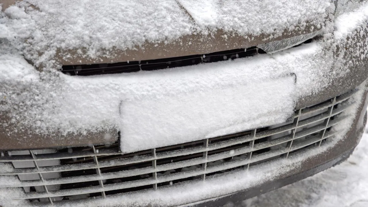 istockphoto.com/Baloncici