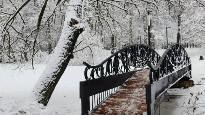 Фото: Валерия Тингаева