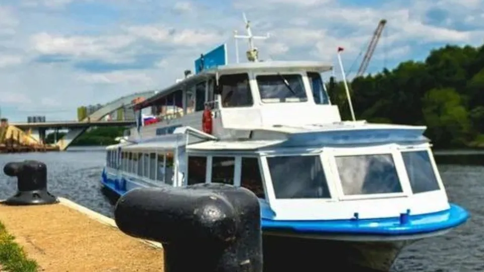 Фото: пресс-служба администрации г.о. Химки