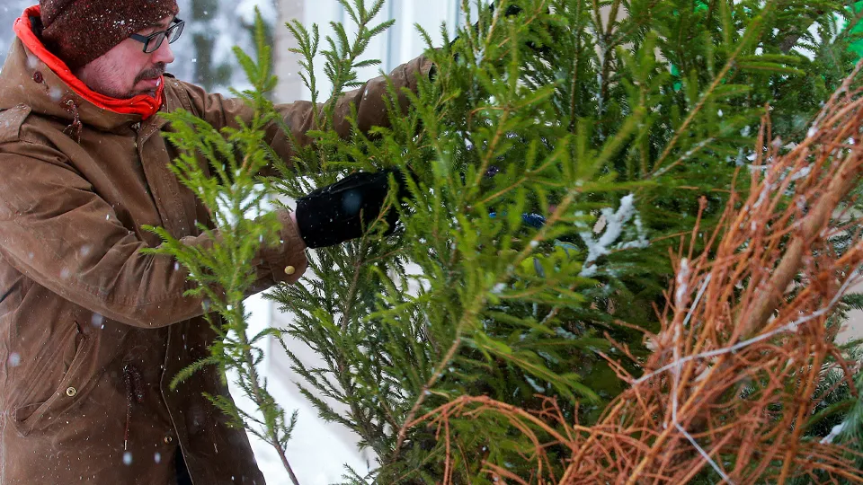 Фото: ТАСС/Сергей Фадеичев