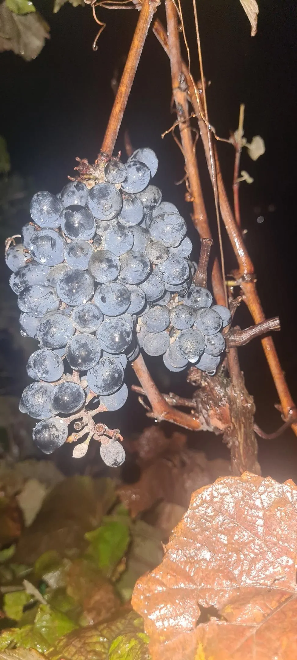 Фото: Подслушано | Дедовск / ВКонтакте