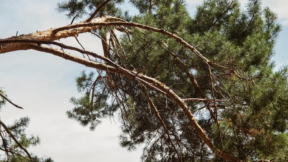 Фото: REGIONS/Наталия Надточая