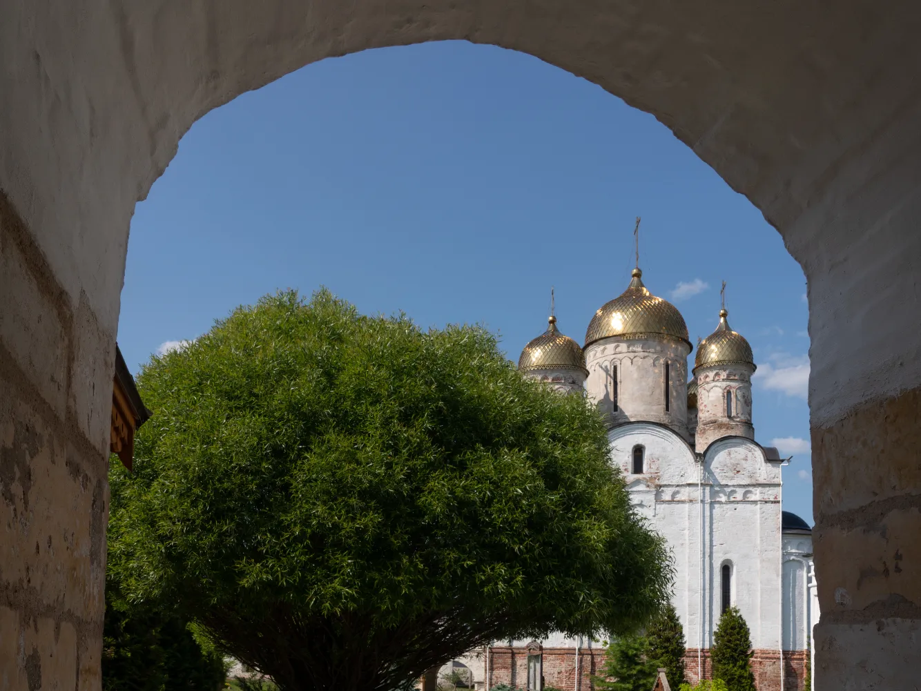 Фото: медиасток.рф