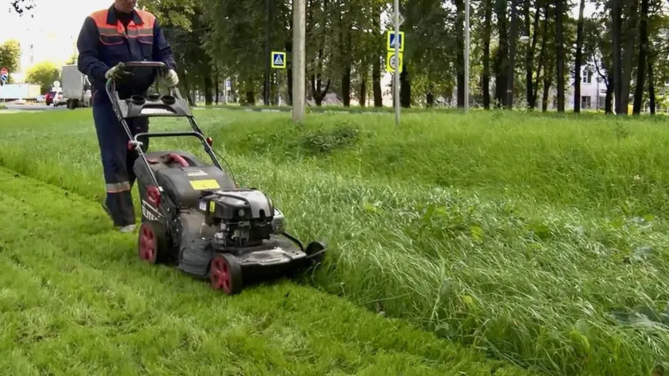 Фото: Медиабанк Подмосковья/Данила Кирьянов