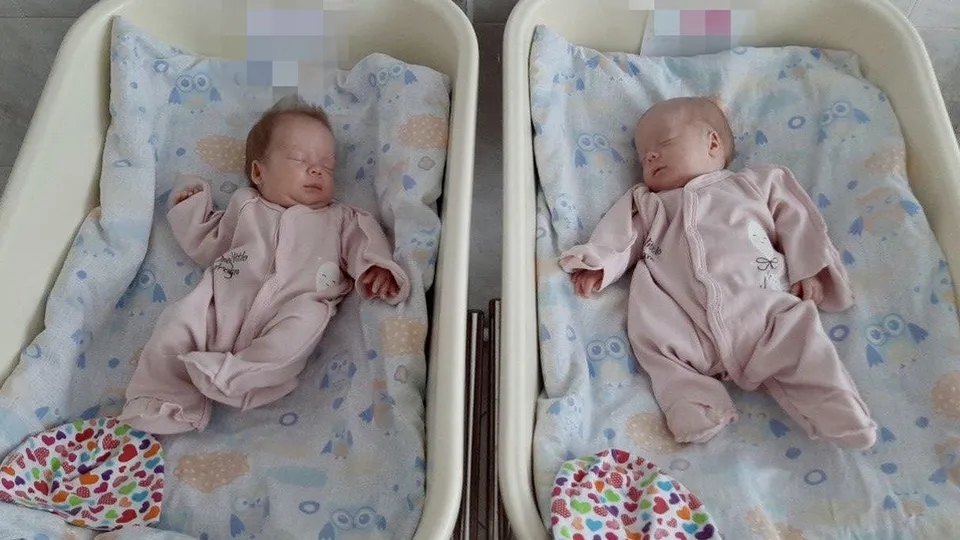 Фото: МОЦОМД