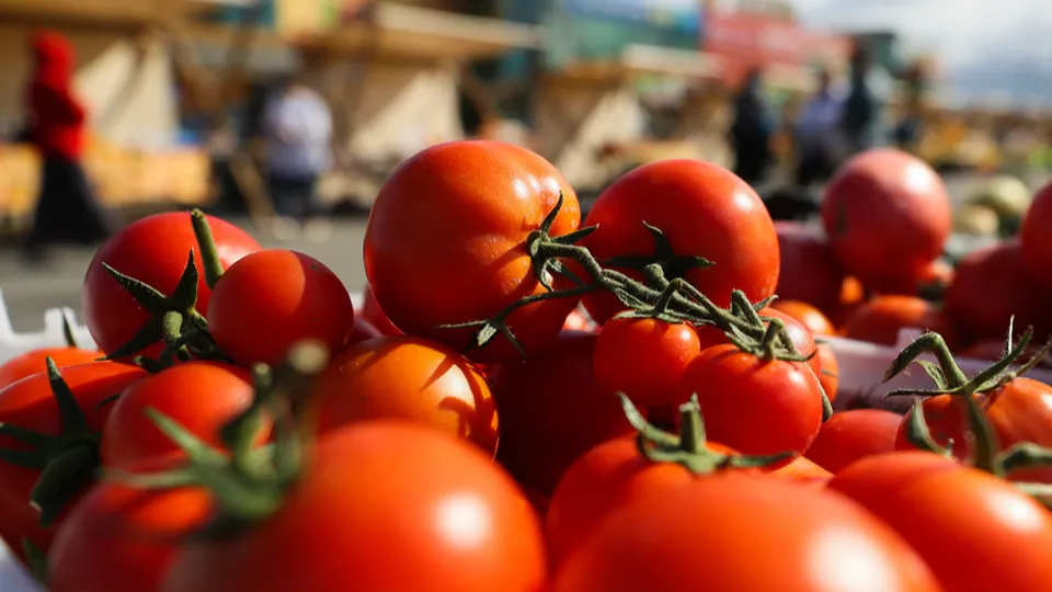 Фото: ТАСС/Владимир Смирнов
