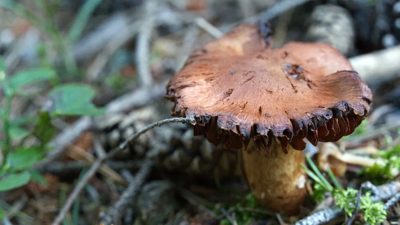 Фото: freepik.com