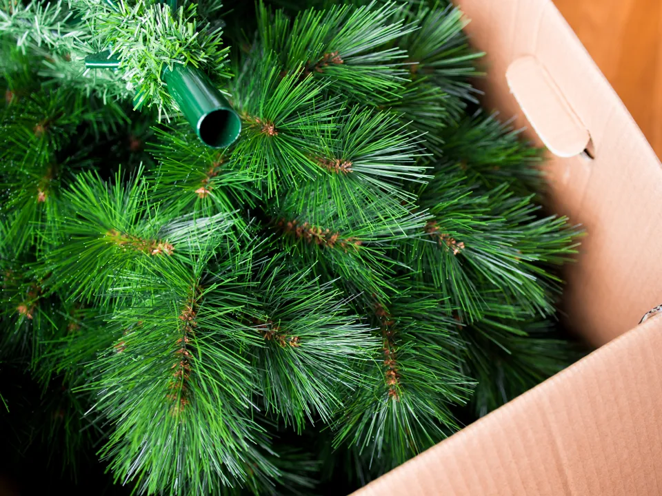 Фото: istockphoto.com/Lamina Akulova