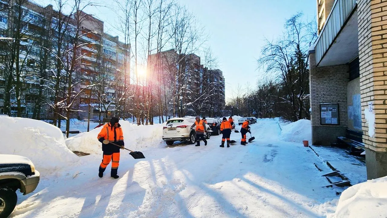 REGIONS/Анна Мороз