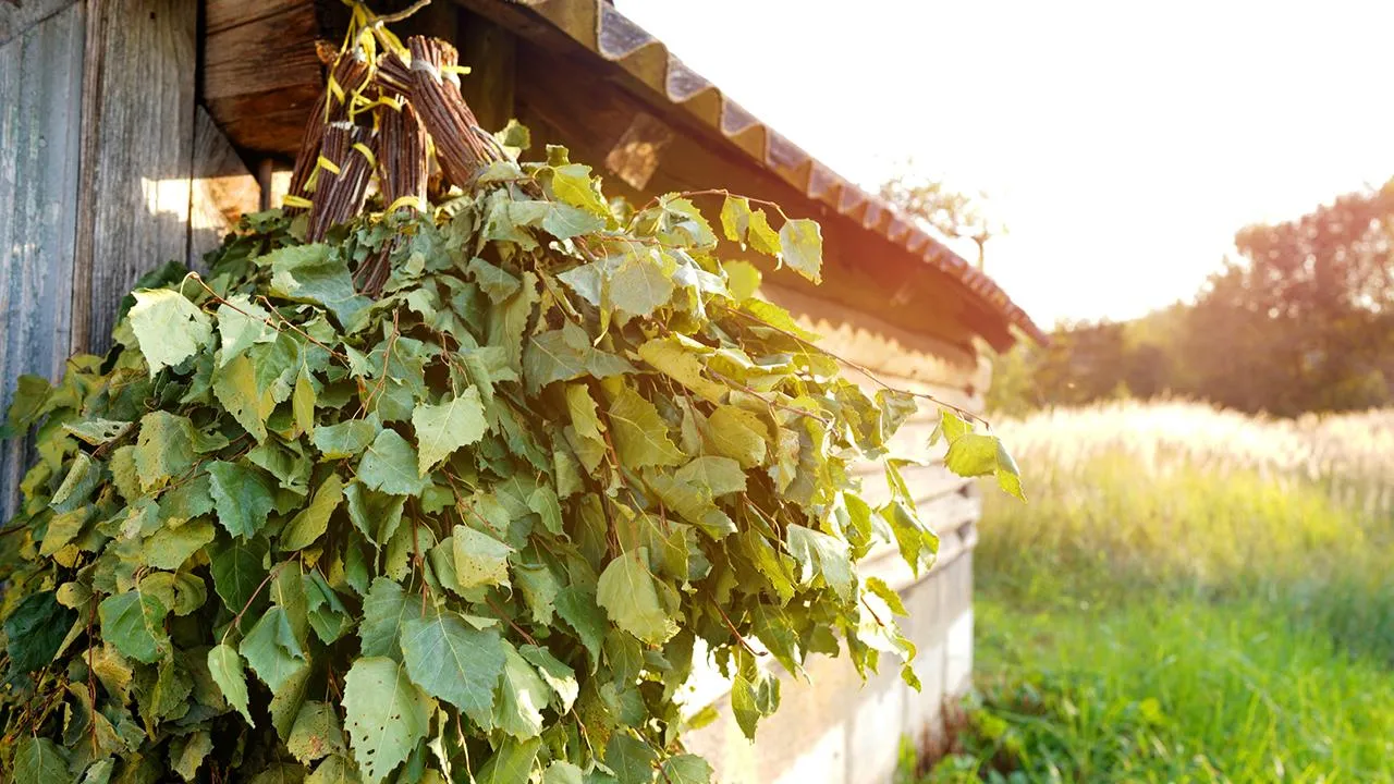 istockphoto.com