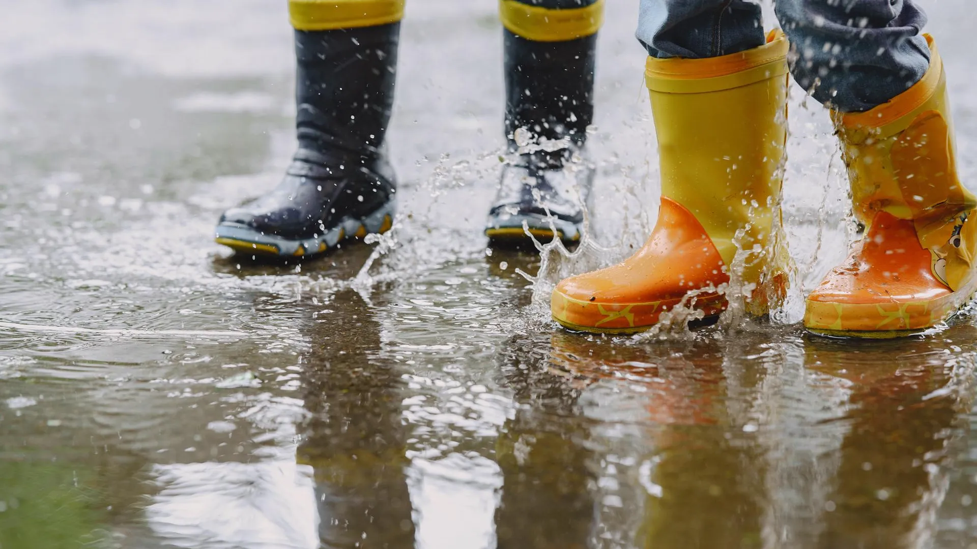 медиасток.рф