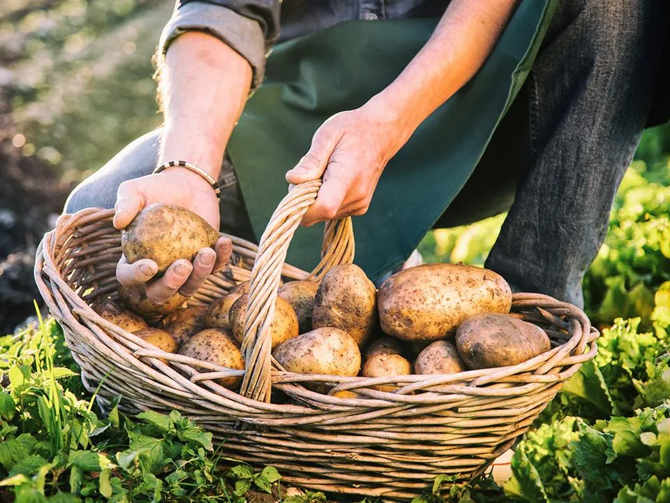 Фото: istockphoto.com/alle12