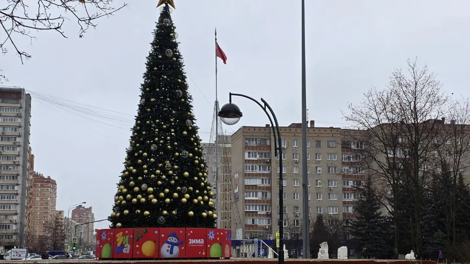 Фото: МедиаБанк Подмосковья/Мария Юдина
