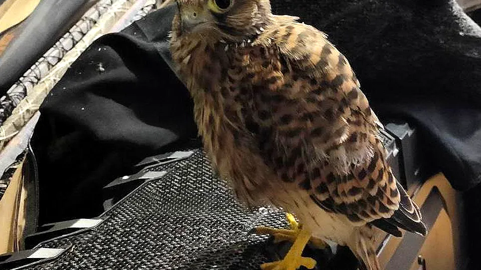 Фото: личный архив Олеси Шатуровой