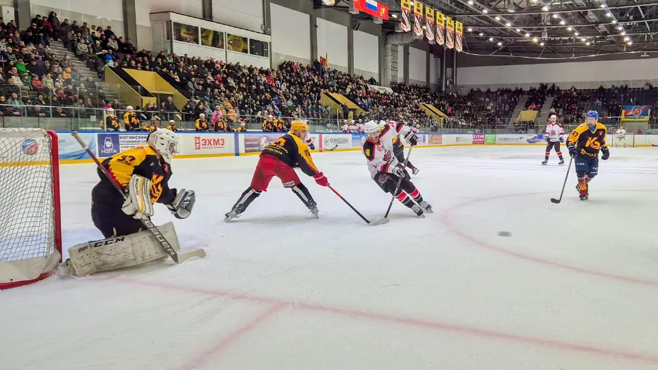 Фото: пресс-служба администрации г.о. Электросталь