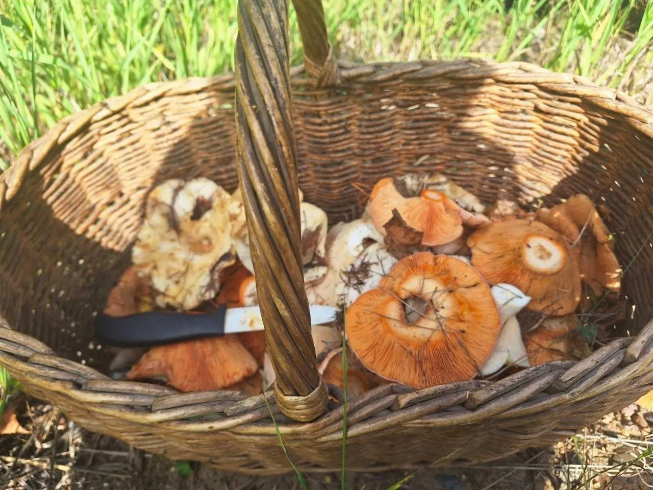 Фото: ГКУ МО «Мособлпожспас»