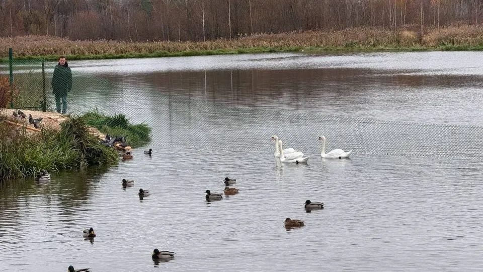 Фото: управление экологии городского округа Мытищи