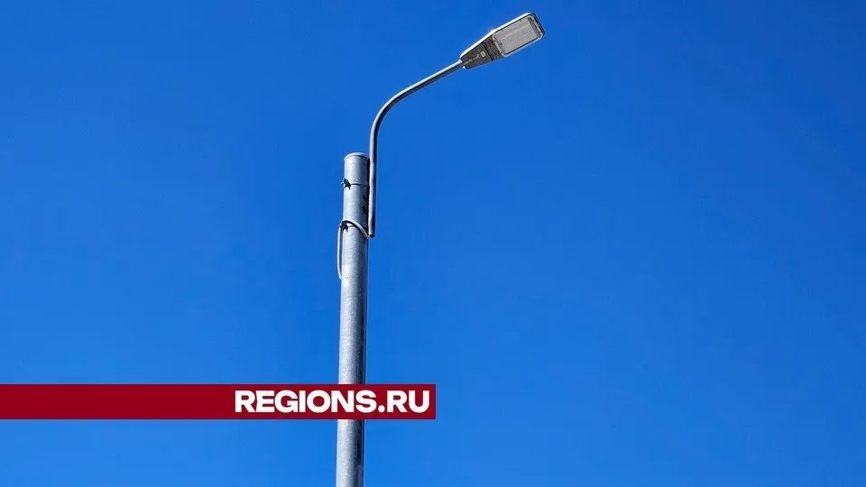 Фото: Александр Дрожжин