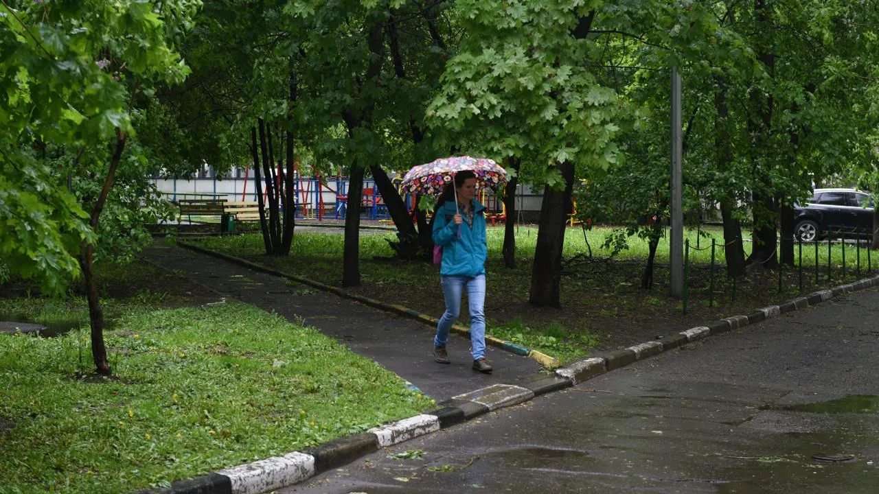 медиасток.рф