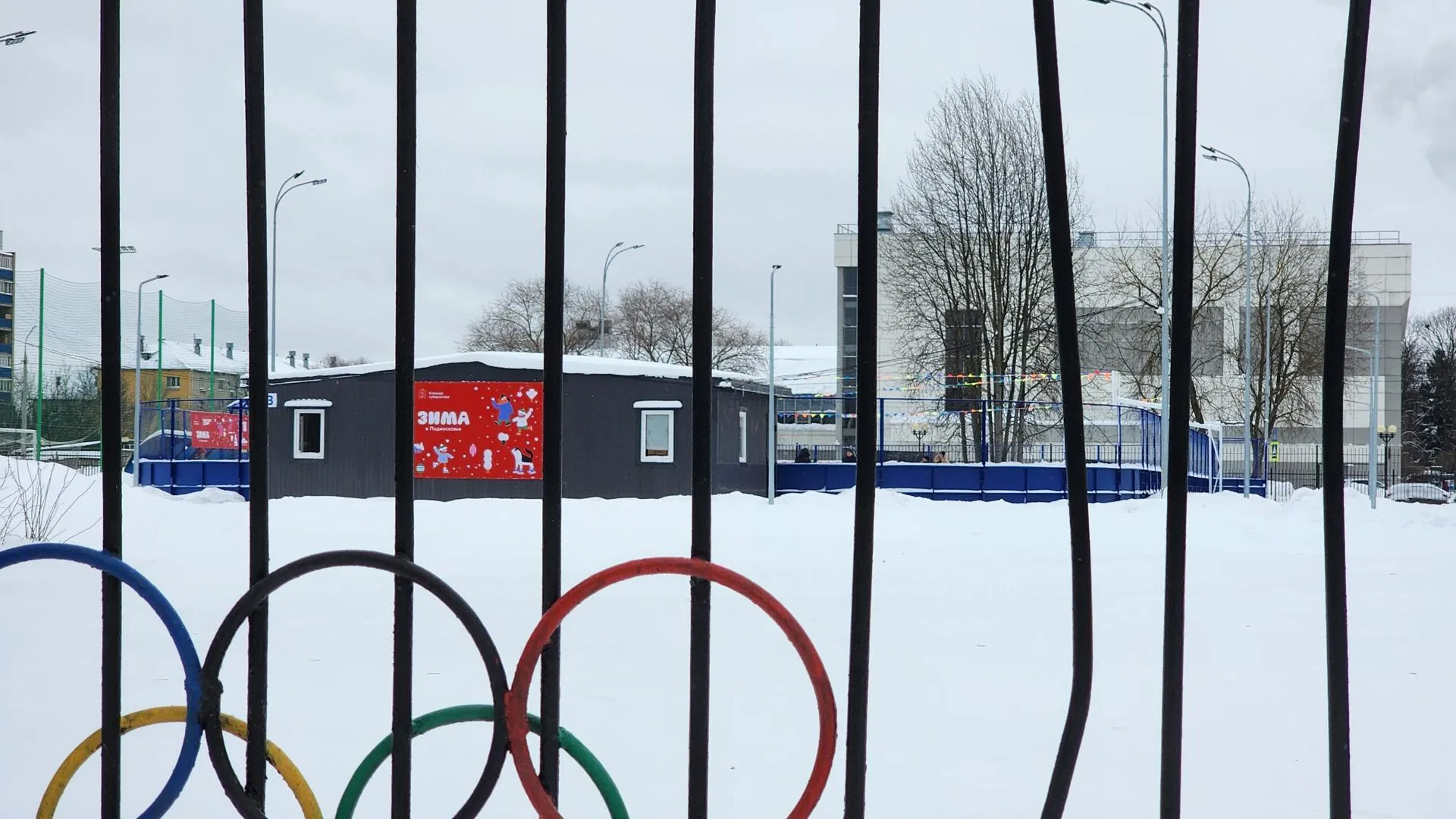 Галина Добрынина