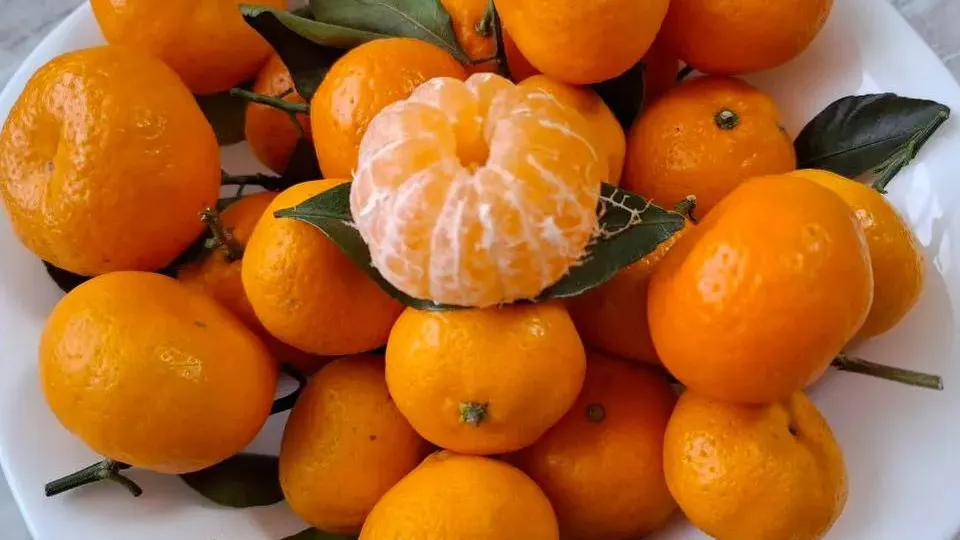 Фото: REGIONS/Юлия Габассова