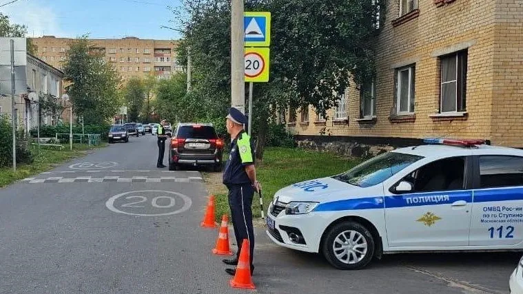 Фото: ОМВД России по г.о. Ступино