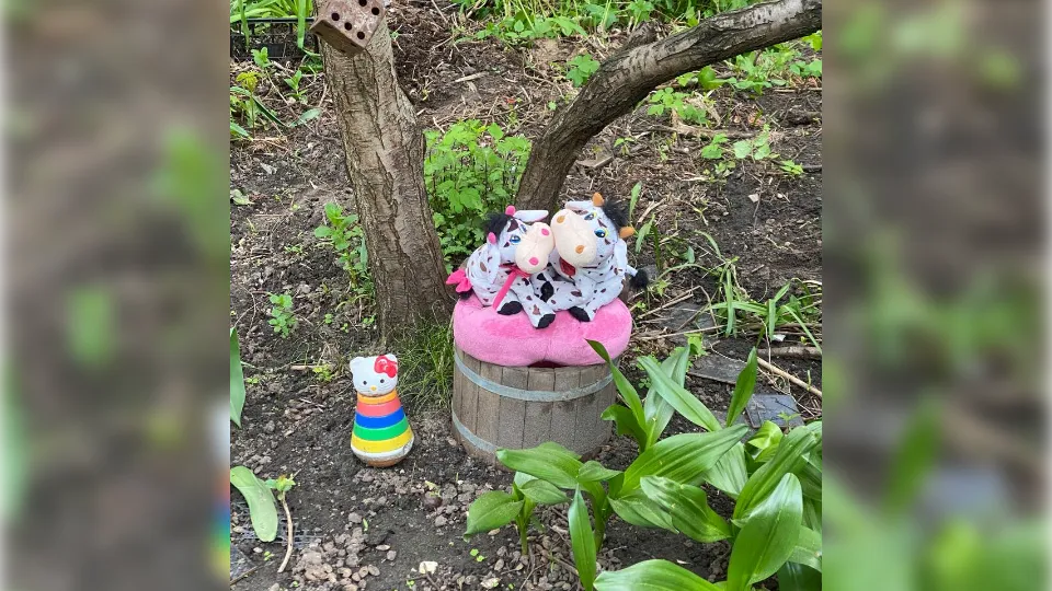 Фото предоставлено жительницей Дзержинского