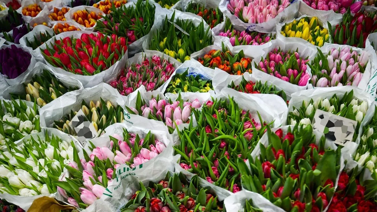 медиасток.рф