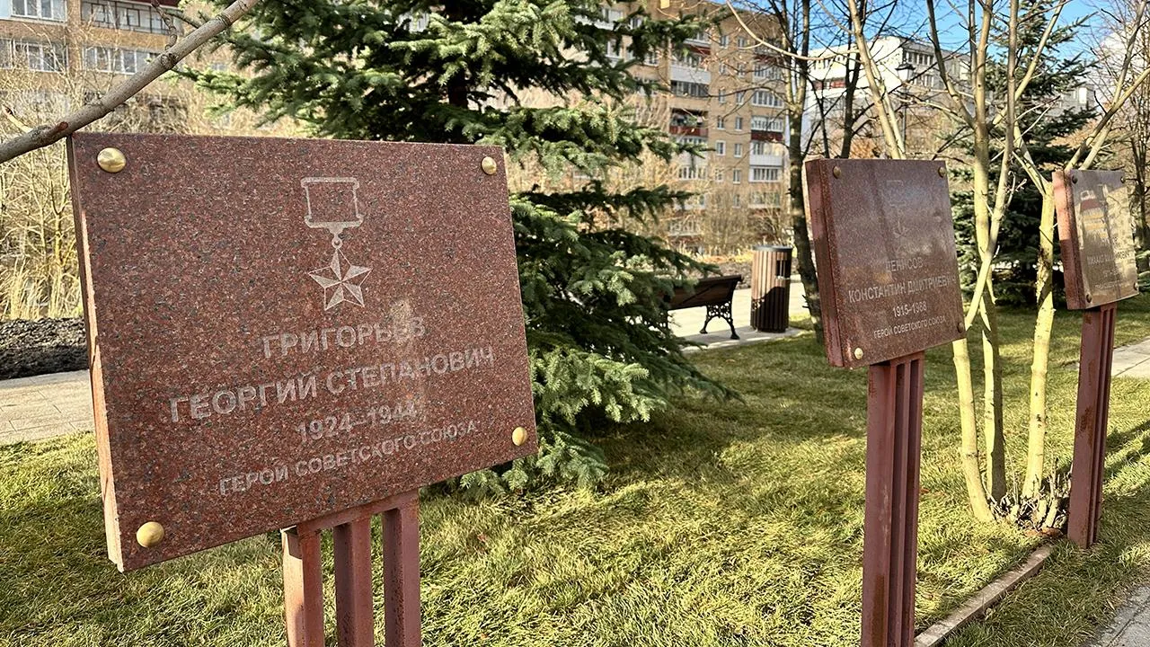 пресс-служба губернатора и правительства Московской области