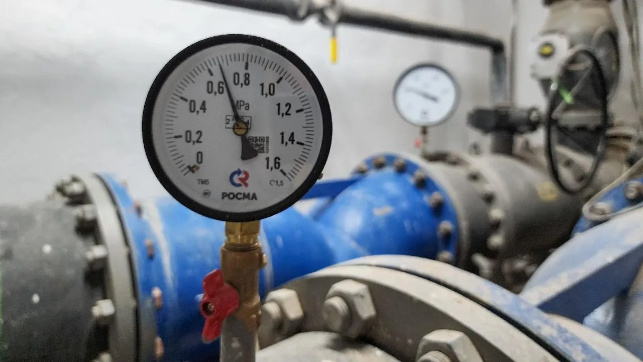 REGIONS/Мария Андрюхина