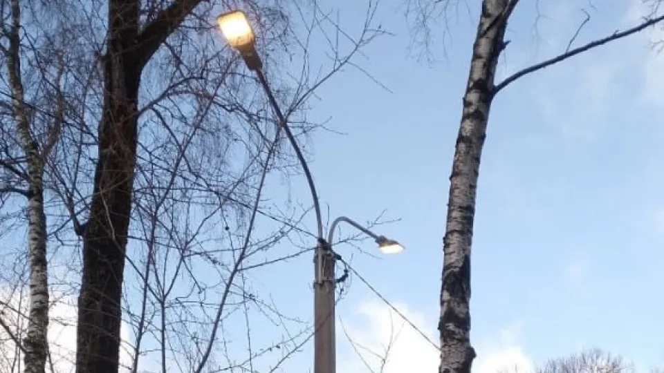 Фото: администрация г.о. Солнечногорск