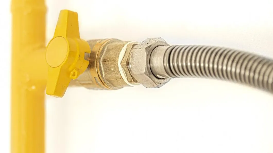 Фото взято с ru.freepik.com