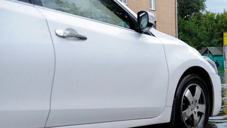 Фото: Медиаархив Подмосковья