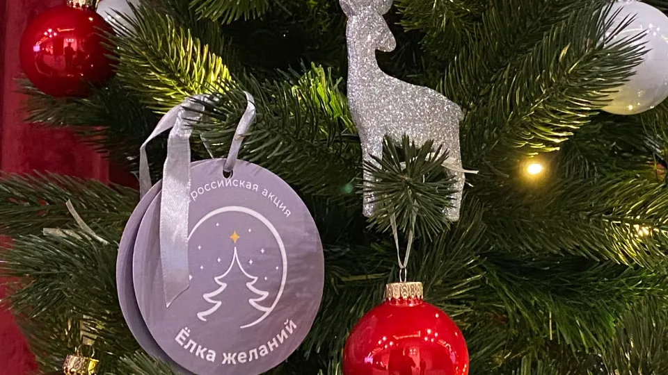 Фото: медиасток.рф