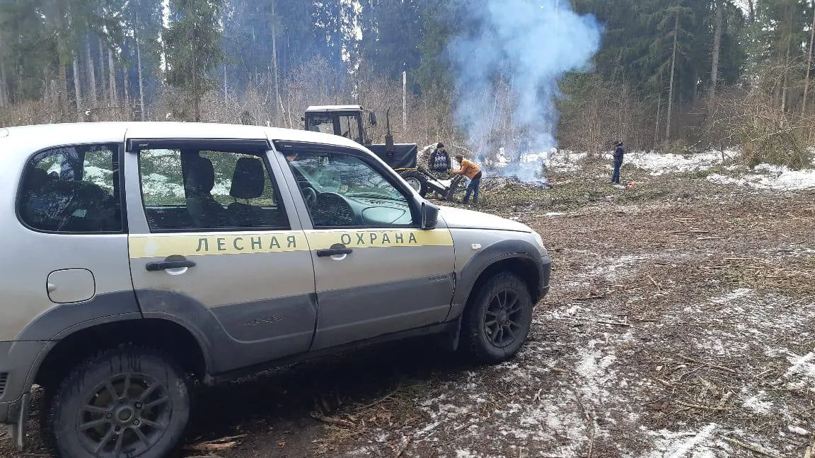 Фото: пресс-служба комитета лесного хозяйства Московской области