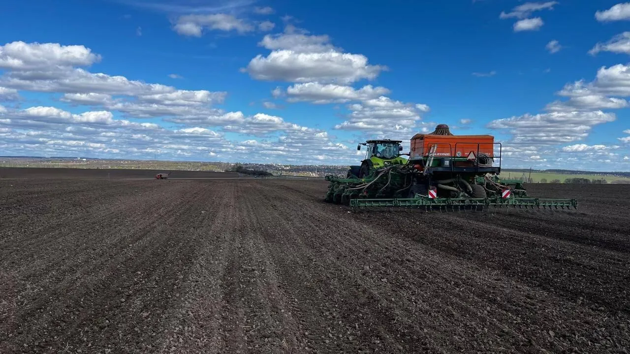 Фото: Пресс-служба Минсельхозпрода МО