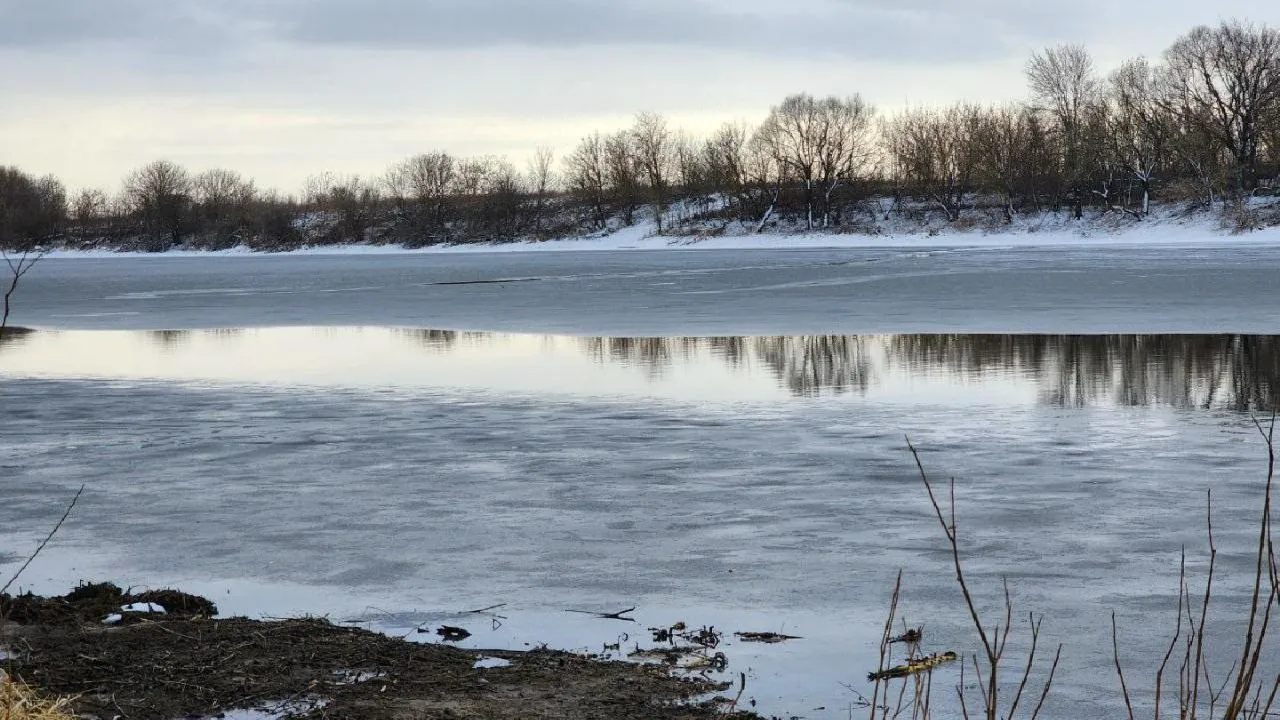 REGIONS/Анна Шолохова