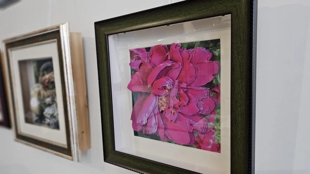 МедиаБанк Подмосковья/Ольга Вельшикаева