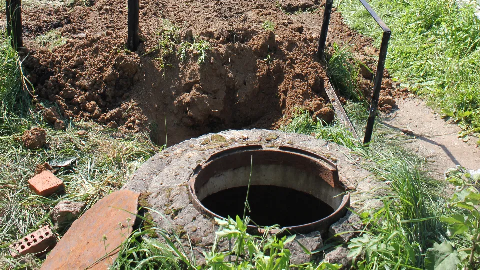 Фото: медиасток.рф