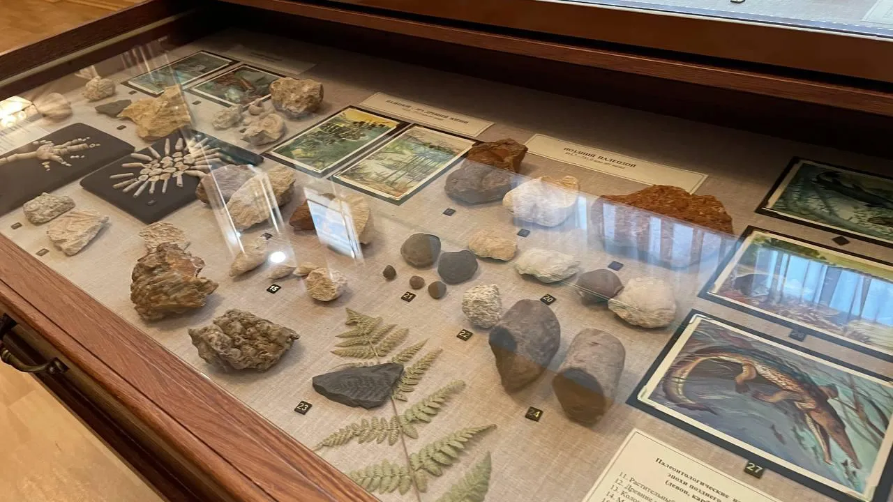 Александр Щербаков