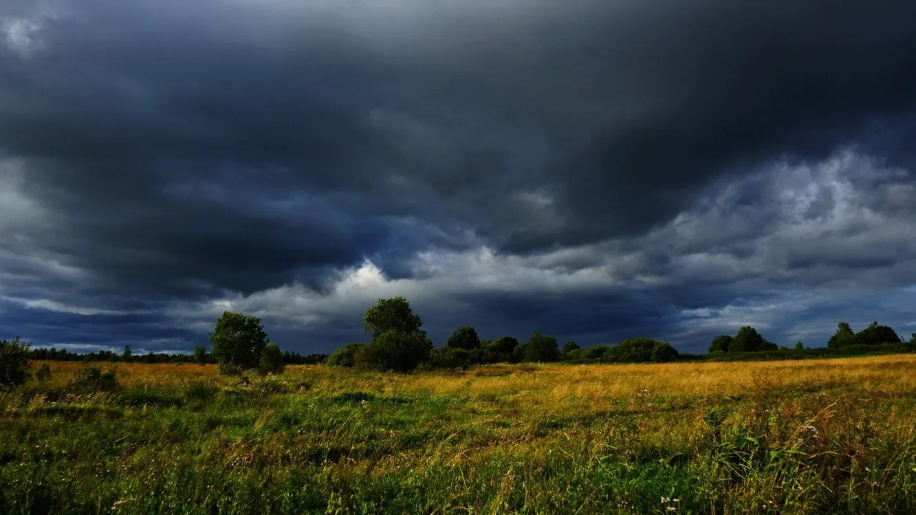 Фото: unsplash.com