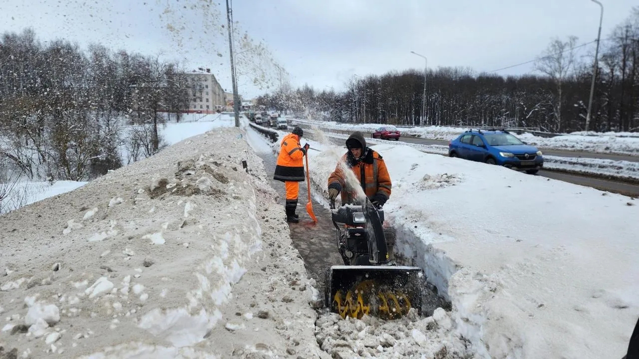 МедиаБанк Подмосковья/Валентина Максимова