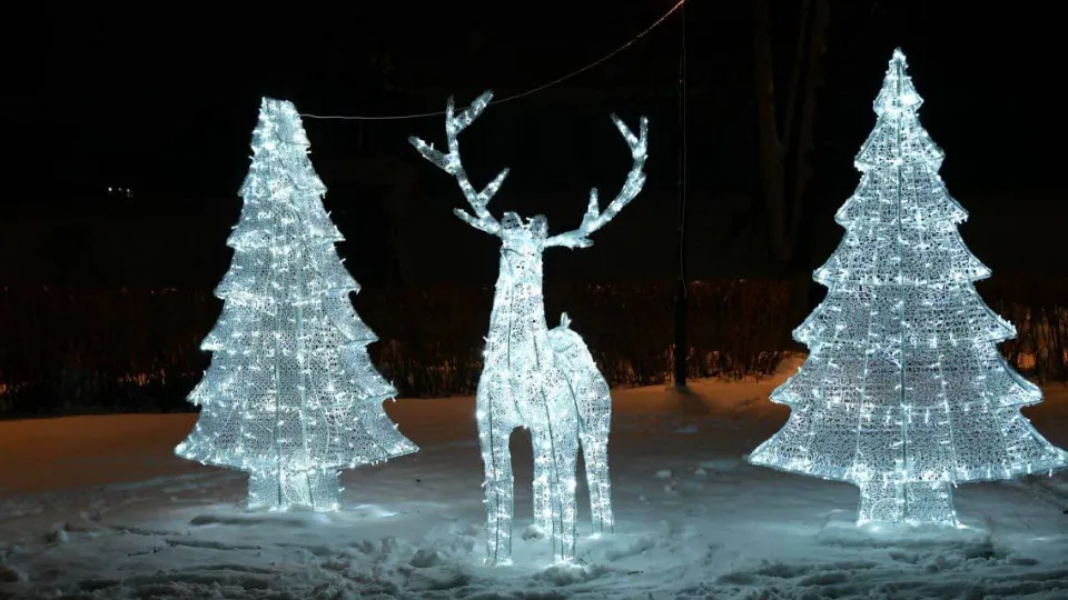 Фото: администрация Дмитровского округа